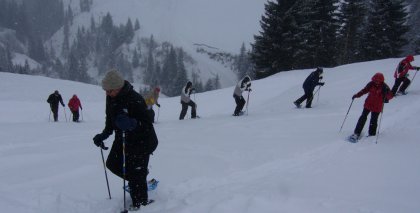 naturhotel-urlaubsfotos-winter-2009-februar--skifahren-und-schneeschuhwandern bild#107