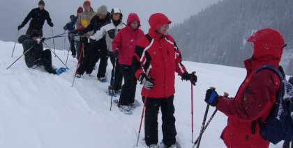 naturhotel-urlaubsfotos-winter-2009-februar--skifahren-und-schneeschuhwandern bild#116