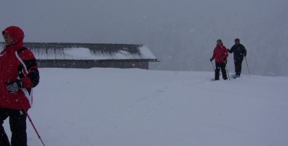 naturhotel-urlaubsfotos-winter-2009-februar--skifahren-und-schneeschuhwandern bild#117