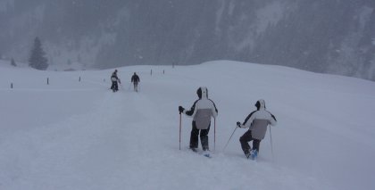 naturhotel-urlaubsfotos-winter-2009-februar--skifahren-und-schneeschuhwandern bild#125