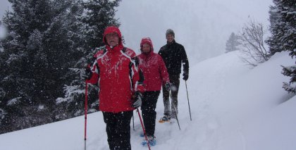 naturhotel-urlaubsfotos-winter-2009-februar--skifahren-und-schneeschuhwandern bild#126