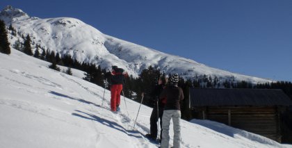 naturhotel-urlaubsfotos-winter-2009-februar--skifahren-und-schneeschuhwandern bild#159