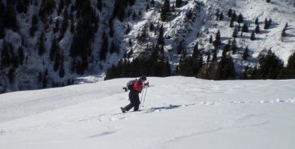 naturhotel-urlaubsfotos-winter-2009-februar--skifahren-und-schneeschuhwandern bild#162