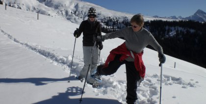 naturhotel-urlaubsfotos-winter-2009-februar--skifahren-und-schneeschuhwandern bild#170
