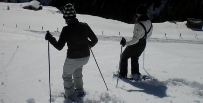 naturhotel-urlaubsfotos-winter-2009-februar--skifahren-und-schneeschuhwandern bild#175