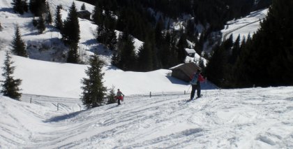 naturhotel-urlaubsfotos-winter-2009-februar--skifahren-und-schneeschuhwandern bild#178