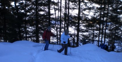 naturhotel-urlaubsfotos-winter-2009-februar--skifahren-und-schneeschuhwandern bild#186