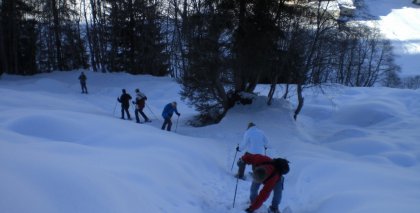 naturhotel-urlaubsfotos-winter-2009-februar--skifahren-und-schneeschuhwandern bild#190
