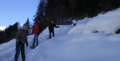 naturhotel-urlaubsfotos-winter-2009-februar--skifahren-und-schneeschuhwandern bild#192