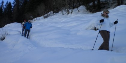 naturhotel-urlaubsfotos-winter-2009-februar--skifahren-und-schneeschuhwandern bild#194