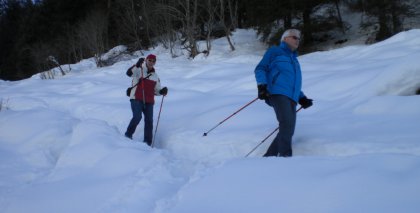 naturhotel-urlaubsfotos-winter-2009-februar--skifahren-und-schneeschuhwandern bild#195