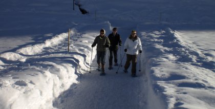 naturhotel-urlaubsfotos-winter-2009-februar--skifahren-und-schneeschuhwandern bild#197