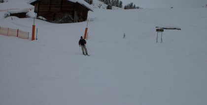 naturhotel-urlaubsfotos-winter-2009-maerz--skifahren-und-schneeschuhwandern bild#2