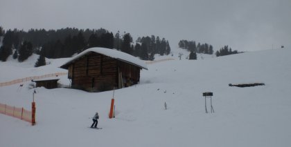 naturhotel-urlaubsfotos-winter-2009-maerz--skifahren-und-schneeschuhwandern bild#14