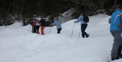 naturhotel-urlaubsfotos-winter-2009-maerz--skifahren-und-schneeschuhwandern bild#30