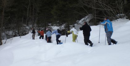 naturhotel-urlaubsfotos-winter-2009-maerz--skifahren-und-schneeschuhwandern bild#31