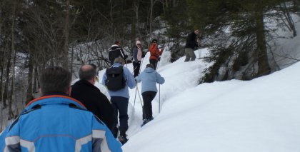 naturhotel-urlaubsfotos-winter-2009-maerz--skifahren-und-schneeschuhwandern bild#32