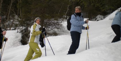 naturhotel-urlaubsfotos-winter-2009-maerz--skifahren-und-schneeschuhwandern bild#33