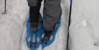 naturhotel-urlaubsfotos-winter-2009-maerz--skifahren-und-schneeschuhwandern bild#35