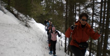 naturhotel-urlaubsfotos-winter-2009-maerz--skifahren-und-schneeschuhwandern bild#40