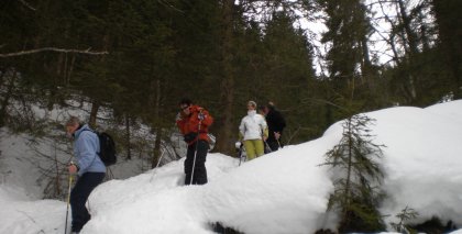 naturhotel-urlaubsfotos-winter-2009-maerz--skifahren-und-schneeschuhwandern bild#45