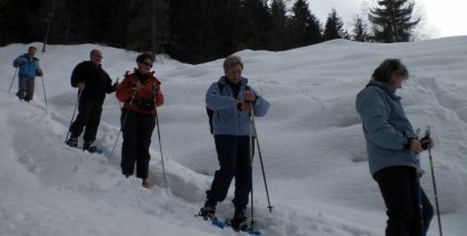 naturhotel-urlaubsfotos-winter-2009-maerz--skifahren-und-schneeschuhwandern bild#53