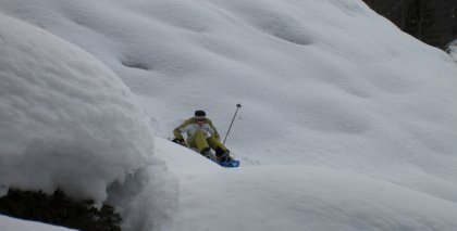 naturhotel-urlaubsfotos-winter-2009-maerz--skifahren-und-schneeschuhwandern bild#54