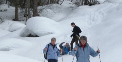 naturhotel-urlaubsfotos-winter-2009-maerz--skifahren-und-schneeschuhwandern bild#55