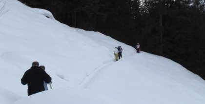 naturhotel-urlaubsfotos-winter-2009-maerz--skifahren-und-schneeschuhwandern bild#57