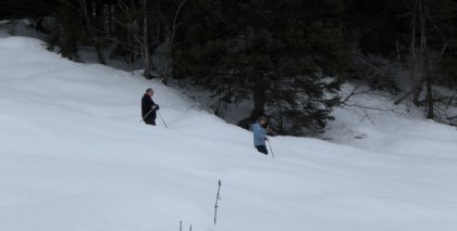 naturhotel-urlaubsfotos-winter-2009-maerz--skifahren-und-schneeschuhwandern bild#64