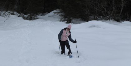 naturhotel-urlaubsfotos-winter-2009-maerz--skifahren-und-schneeschuhwandern bild#65