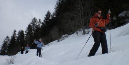 naturhotel-urlaubsfotos-winter-2009-maerz--skifahren-und-schneeschuhwandern bild#66