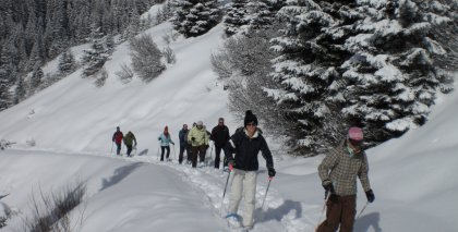 naturhotel-urlaubsfotos-winter-2009-maerz--skifahren-und-schneeschuhwandern bild#118
