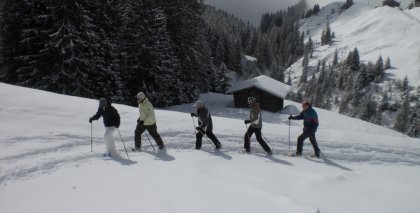 naturhotel-urlaubsfotos-winter-2009-maerz--skifahren-und-schneeschuhwandern bild#119
