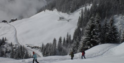 naturhotel-urlaubsfotos-winter-2009-maerz--skifahren-und-schneeschuhwandern bild#120