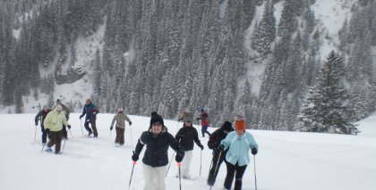 naturhotel-urlaubsfotos-winter-2009-maerz--skifahren-und-schneeschuhwandern bild#122