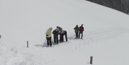 naturhotel-urlaubsfotos-winter-2009-maerz--skifahren-und-schneeschuhwandern bild#124