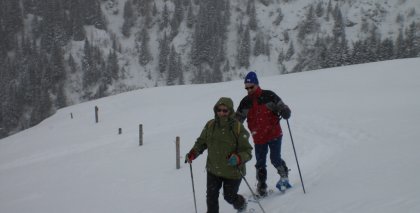 naturhotel-urlaubsfotos-winter-2009-maerz--skifahren-und-schneeschuhwandern bild#127
