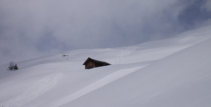naturhotel-urlaubsfotos-winter-2009-maerz--skifahren-und-schneeschuhwandern bild#141