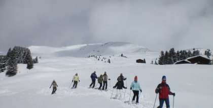 naturhotel-urlaubsfotos-winter-2009-maerz--skifahren-und-schneeschuhwandern bild#144