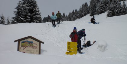 naturhotel-urlaubsfotos-winter-2009-maerz--skifahren-und-schneeschuhwandern bild#147