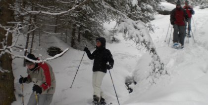 naturhotel-urlaubsfotos-winter-2009-maerz--skifahren-und-schneeschuhwandern bild#156