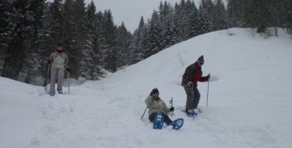 naturhotel-urlaubsfotos-winter-2009-maerz--skifahren-und-schneeschuhwandern bild#162