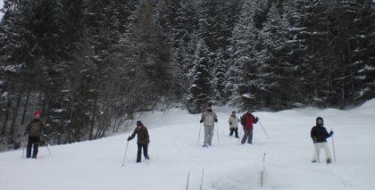 naturhotel-urlaubsfotos-winter-2009-maerz--skifahren-und-schneeschuhwandern bild#165