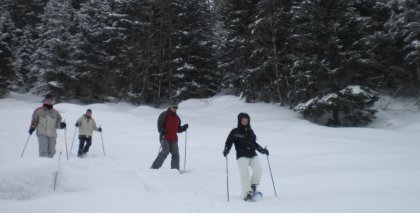 naturhotel-urlaubsfotos-winter-2009-maerz--skifahren-und-schneeschuhwandern bild#166