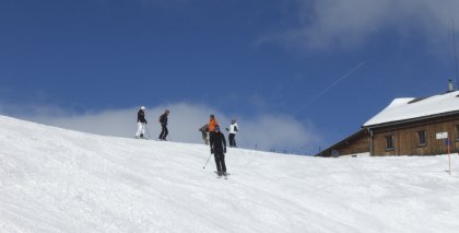 naturhotel-urlaubsfotos-winter-2009-maerz--skifahren-und-schneeschuhwandern bild#202