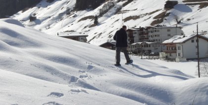 naturhotel-urlaubsfotos-winter-2009-maerz--skifahren-und-schneeschuhwandern bild#226