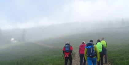 urlaubsfotos-sommer-2019-unique-3a1161df92acbf3740cad97a926f8f46-unique-fa98ac1144c8f58bfb70cab05fc10260-Juni-unique-31ce106f235d3471168fcdbb4c9dc739-29 bild#23