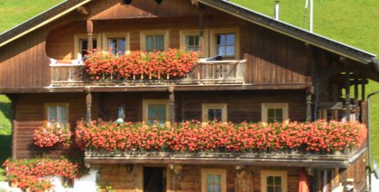 naturhotel-urlaubsfotos-sommer-2009-4-bis-10-oktober bild#36