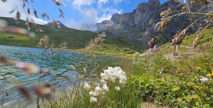 -de-hotel-tuxertal-wanderhotel-wanderurlaub bild#2